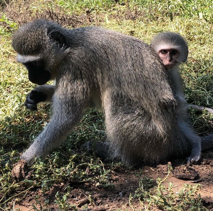 Vera with foster mum